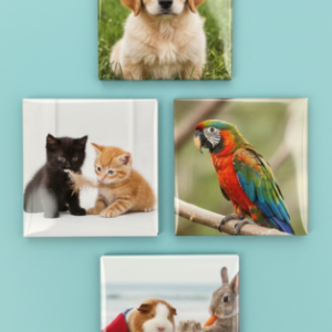 Custom 2"x 3" Fridge Magnets